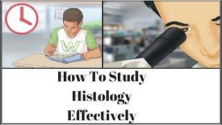 How To Study Histology Effectively | MBBS SERIES