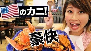 豪快！トンカチで食べるワシントンD.C.のカニ！〔#582〕【横断の旅 12】