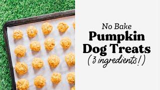 No Bake Pumpkin Dog Treats Recipe