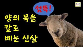 양인살 - 좋은거야 나쁜거야? (사주 강의)