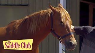 The Saddle Club - High Stakes Part I | Season 02 Episode 22 | HD | Full Episode