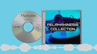 Pelamakinesis 1 wipen