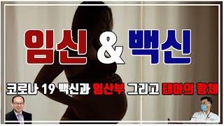 코로나 19 백신 접종 임신 전, 임신 중, 수유부,산모, 임신부, 임산부와 태아 항체와 위험성