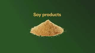 How much soy is in it?