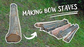 Splitting a Wood Log Into Bow Making Staves