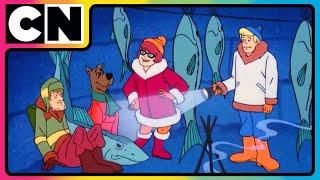 Scooby Doo | Spooky Fun with Scooby and the Gang!  | Cartoon for Kids | 90s cartoons  | @cnindia