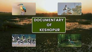 Keshopur Wetland Gurdaspur (Punjab) Incredible India