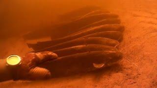 Подводная охота на Днепре в Черкассах 2017
