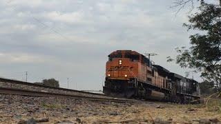 Silbato K5LLA!!Tren de máquinas solas | SD70ace de BNSF y GEVO de Norfolk Southern en México ⬛