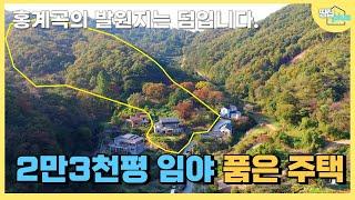 [주택만 가격인하] 억수로 넓은 임야 속 홍계곡의 발원지를 품은 임야를 가진 별장 I 주택만도 별도 매매 가능합니다 #여주 별장 #양평별장 #여주전원주택매매 #홍계곡