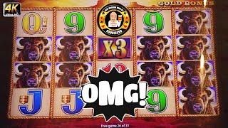 OMG -  MASSIVE Jackpot on Buffalo Gold (Class 2)