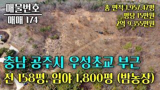 충남 공주시 밤농장 1,957평 매매, 평당 15만원 충남 부동산 - 이태호 공인중개사