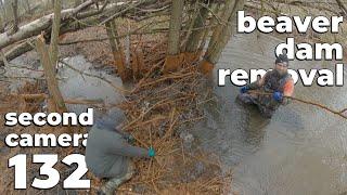 Muddy Work And Pleasant Sound Of Water - Manual Beaver Dam Removal No.132 - Second Camera