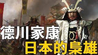 日本戰國時代霸主！德川家康一生忍辱負重，最終統一天下統治全國