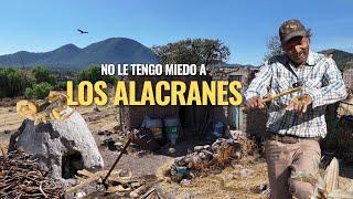 "VIVO SOLO EN LA SIERRA ALEJADO DEL BULLICIO Y LA FALSA SOCIEDAD"