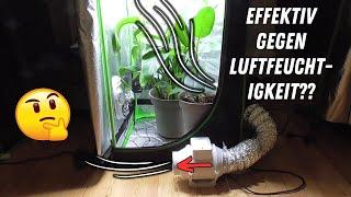 Test: Lüfter unten gegen hohe Luftfeuchtigkeit | Growbox Luftfeuchtigkeit senken