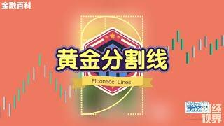 【金融百科】133. 黄金分割线 (Fibonacci Lines)