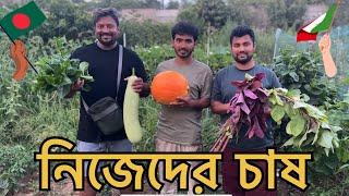  বাংলাদেশের মতো  ইতালিতেও জমি ভাড়ায় নিয়ে চাষ করা যায় | Organic Farming Italy | Bangladesh