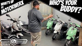 Who's your BUDDY?!? (Genuine Scooter Dealer) What's Up at Motorwerx ep.8 motorcycle shop vlog