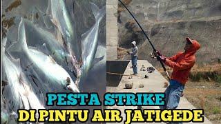 Ngeri banget !!! Mancing mania ikan patin - pesta strike di pintu air Jatigede