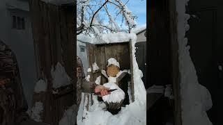 No spin knife takes on frozen wood in double digits below zero #short #nospinthrowing #knifethrowing