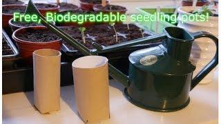 This ONE Tip could give YOU FREE Cardboard Pots! | The Welsh Gardener