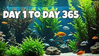 No CO2, No Fertz, No Filter, No Water Change