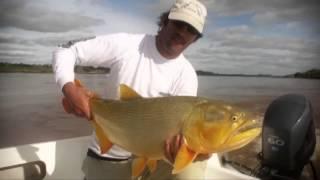 Dorado-Fischen in Salto Grande (Uruguay)