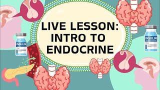 ENDOCRINE Live lesson | Prep for Exams