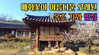 [빈집귀향]매화가 핀 아름다운 목조 기와 빈집, An empty Old House