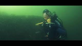 Mit Tauchen Südstrand am Wrack "Docktor"