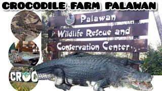 CROCODILE FARM  PALAWAN TOUR