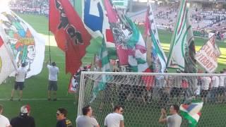 RAPID WIEN und FCN !!! Block West 1