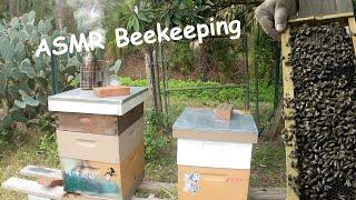 ASMR Beekeeping