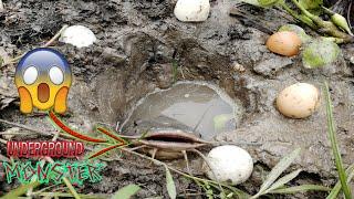 Unbelievable Underground Fishing l Village Smart Boy Caught Monster Catfish In Rural Canal Use Egg