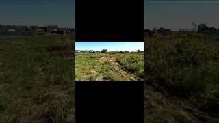 Земельный участок на побережье в Калининградской области #shorts