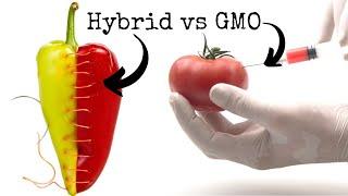 How to know GMO Foods vs. Hybrids