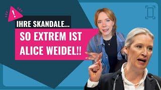 Wie extrem ist Alice Weidel - Analyse