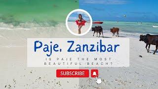 PAJE Beach, ZANZIBAR | A Paradise for kite surfers and low budget travelers! (4K) | #paje #zanzibar