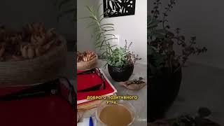 Компания для привлечения инвесторов -  цели   Инвестиции в недвижимость Сочи | Купить дом в Сочи
