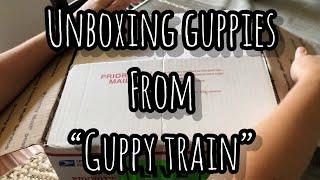 Unboxing Mail-order Guppies from “Guppy Train”