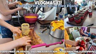 Vlogmas! First Day Food Prep & Preservation after the big shop! So Many Berries! -Off Grid Australia