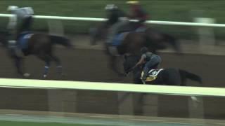 BREEDERS' CUP WORKOUT: Prayer For Relief (10/25/14)