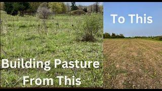 Our first time pasture building