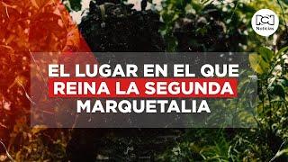 El rincón de Colombia en el que la Segunda Marquetalia tiene el control de la población