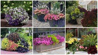 6 Container Combinations to Love!  // Garden Answer
