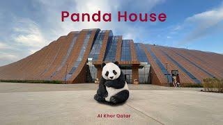 Panda House in Al Khor Qatar | Suhail & Thuraya | Al Khor Park & Zoo