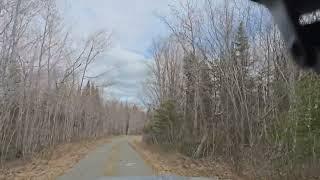 This Road Belongs To The Beavers Now Vlog