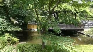 Peaceful Gardens and Pond at Togo Shrine in Harjuku | Tokyo, Japan