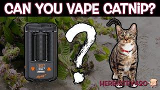 Can You Vape Catnip? | Dry Herb Series | Herbistry420